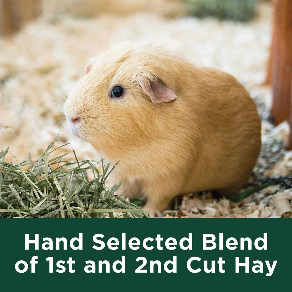 Natural Timothy Hay L561