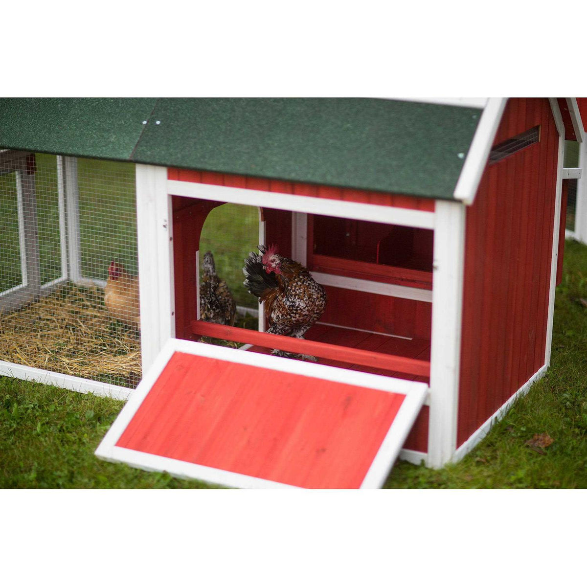 Red Barn Chicken Coop X9126