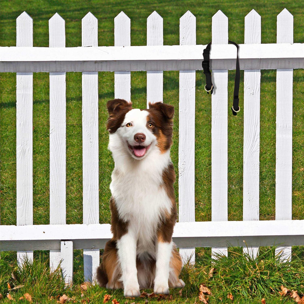 Break-Away Dog Collar F831846