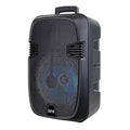 12in Black Portable Party Speaker P95494