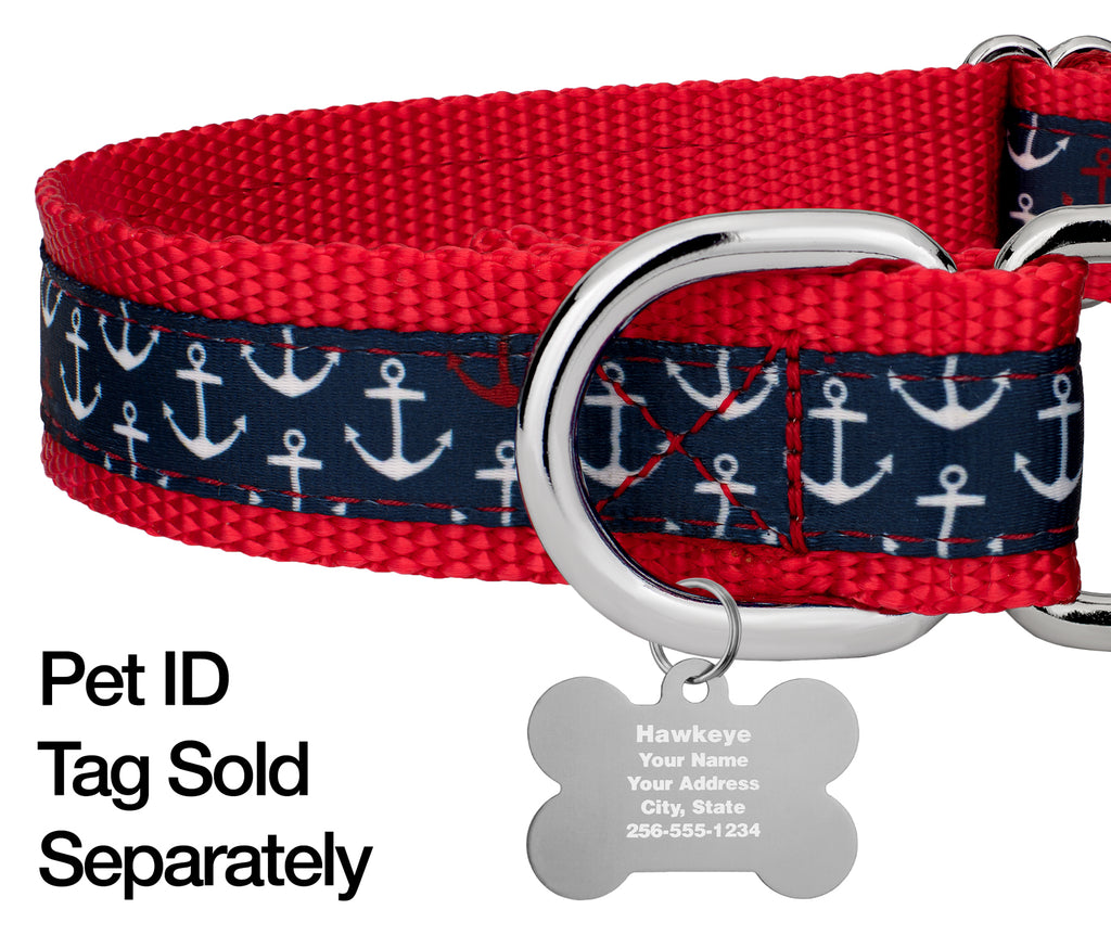 Large Martingale Dog Collar A674925