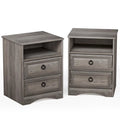 Gray Modern Nightstand Set of 2 N3106