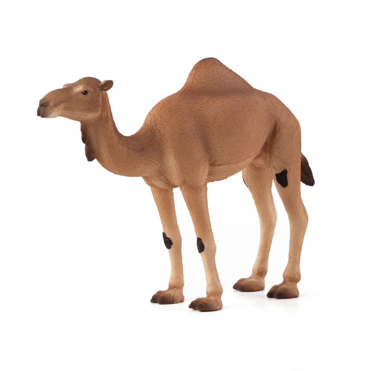 Arabian Camel Wildlife Figurine H379
