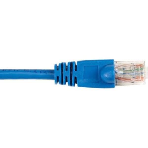 Blue 5-ft Cat6 Patch Cable 25-Pack V7281