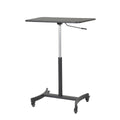 Adjustable Standing Desk Q886