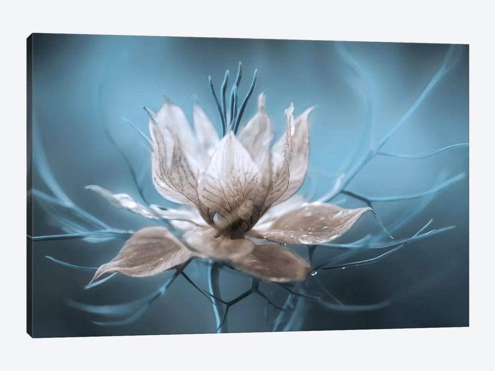 Canvas Wall Decor Prints Q9799