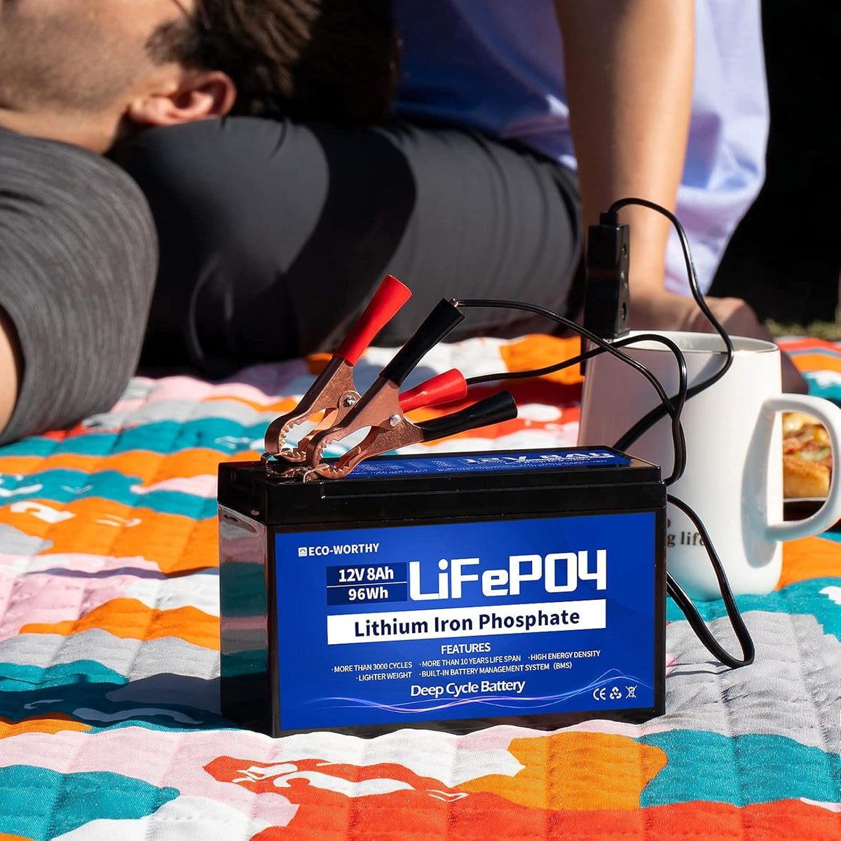 12V 8Ah Rechargeable LiFePO4 Battery with BMS Protection V554