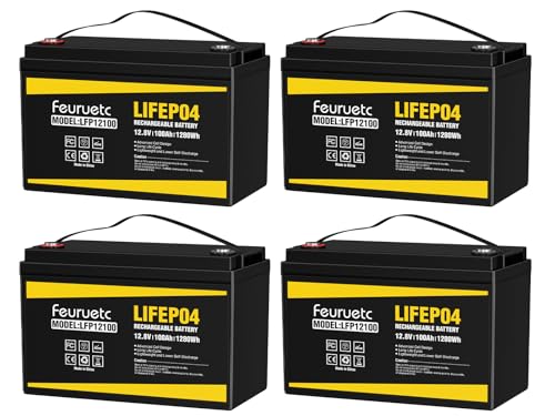 12V 100Ah LiFePO4 Lithium Battery with 100A BMS, 1280Wh Energy Storage, Iron Phosphate 15000 Deep Cycles Marine Battery W486818