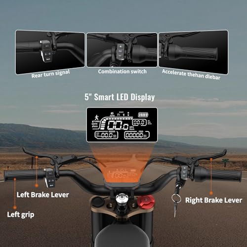 2500W Electric Dirt Bike with Removable Batteries S1509