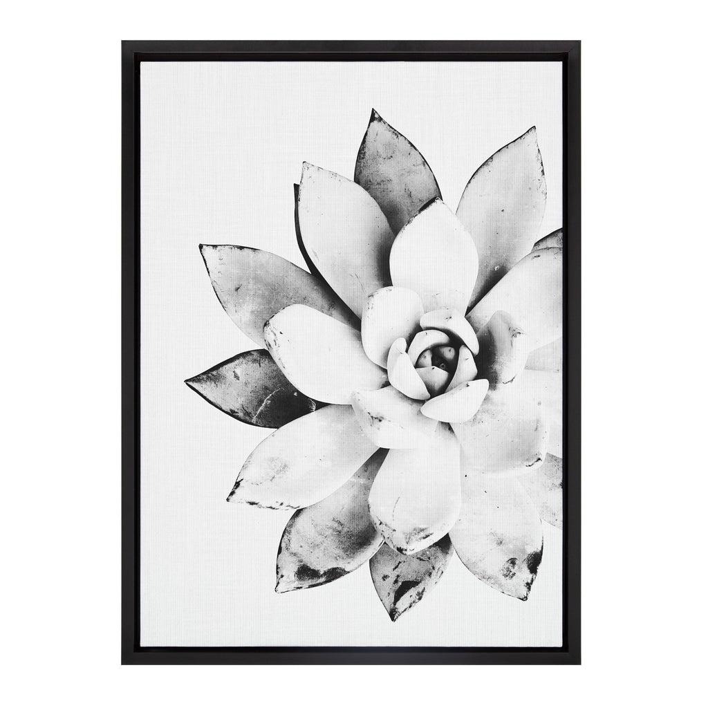 Black Framed Canvas K590013