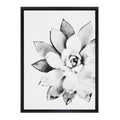 Black Framed Canvas K590013
