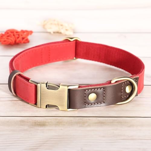 Brown Leather Dog Collar with Quick Release Metal Buckle N646