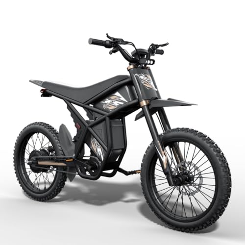 2500W Electric Dirt Bike with Removable Batteries S1509