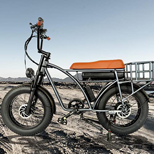 Dual Motor 2000W Retro Two-Person Electric Bicycle, 7-Speed 20" Tire 48V 18Ah E-Bike with Rear Turn Signal Y869381