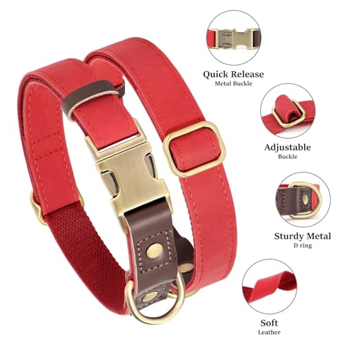 Brown Leather Dog Collar with Quick Release Metal Buckle N646