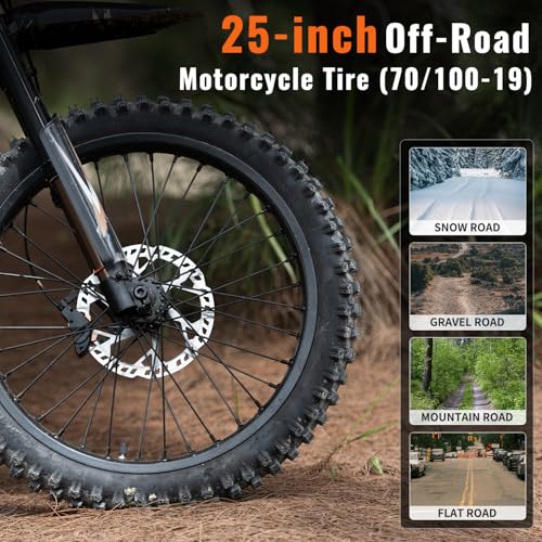2500W Electric Dirt Bike with Removable Batteries S1509