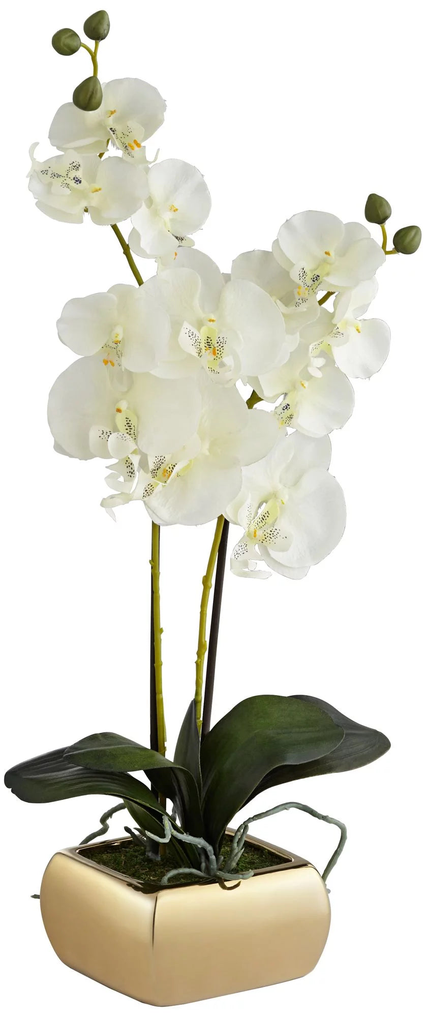 White Artificial Orchid in Gold Ceramic Pot 22" V976