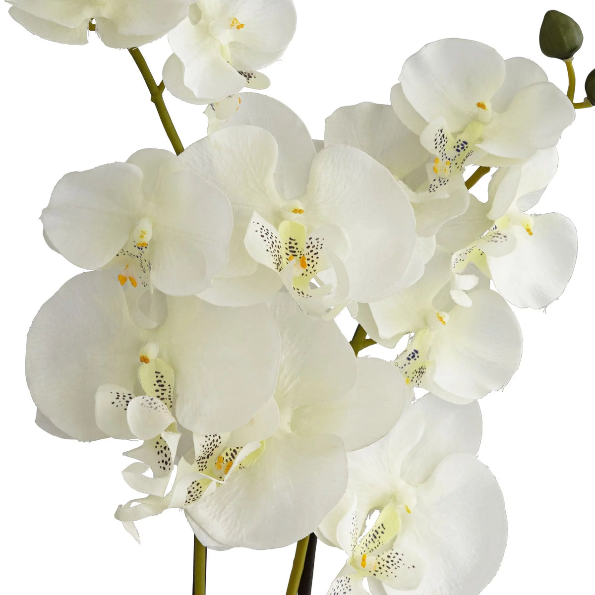 White Artificial Orchid in Gold Ceramic Pot 22" V976