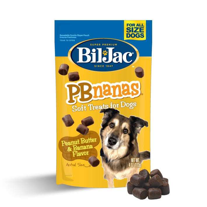 Peanut Butter Dog Treats X170