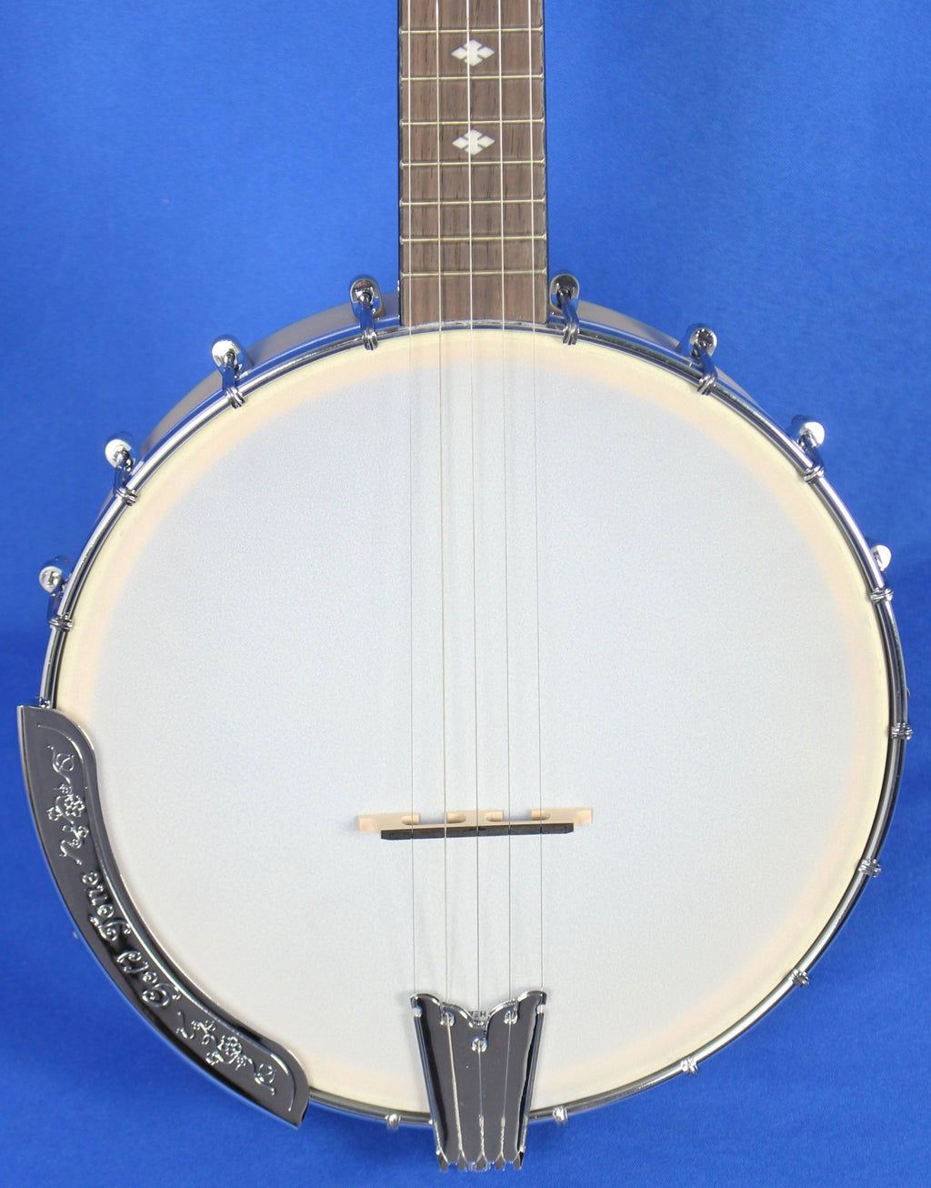Gold Tone Cripple Creek Banjo T42642