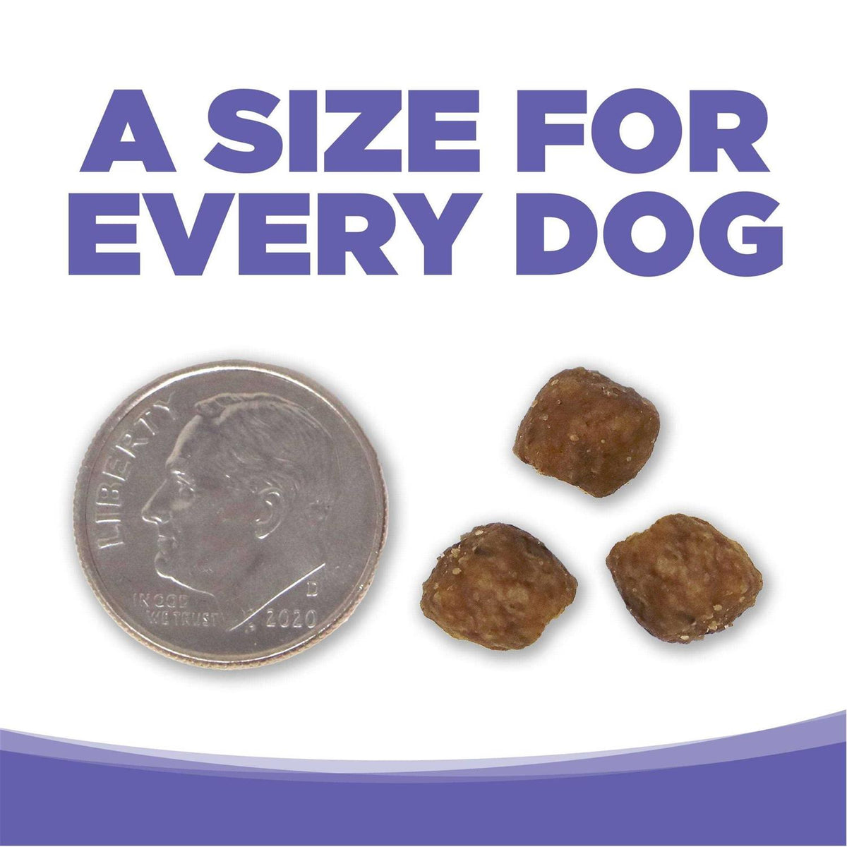 Chicken Rice Small Medium-Breed Puppy Dry Dog Food Y916