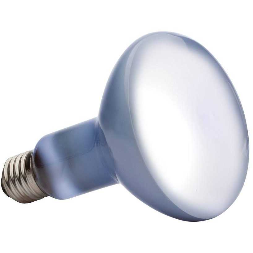 Daylight Basking Spot Lamp A45911