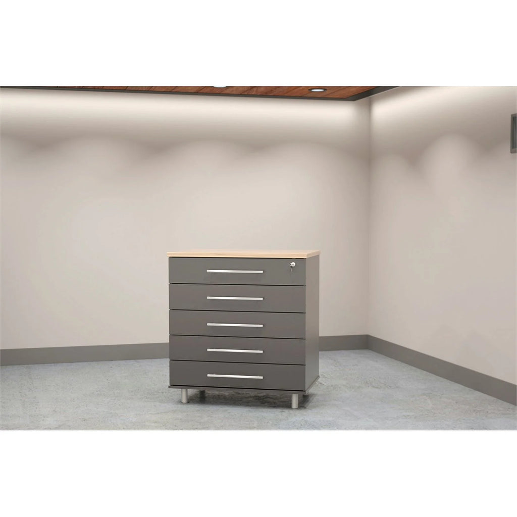 5 Drawer Storage Cabinet T397108