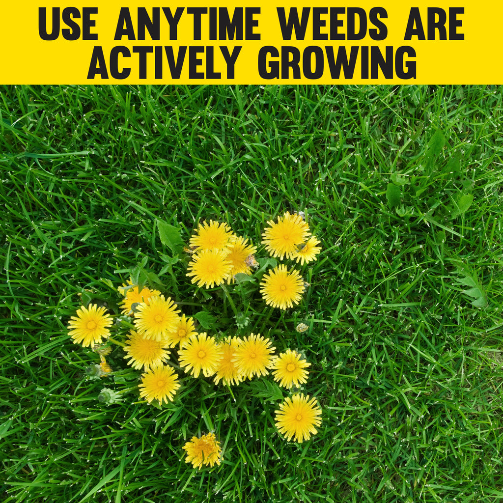 12 lb. Lawn Fertilizer 18-0-1 U5089