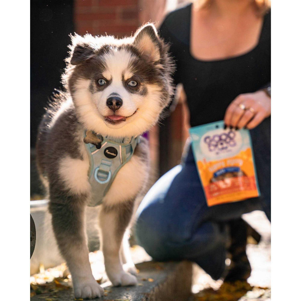 Lamb & Salmon Recipe Puppy Treats B245