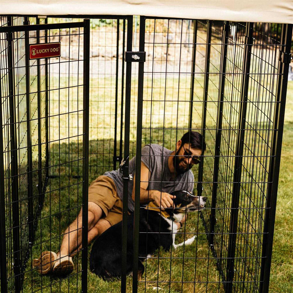 Dog Kennel H382