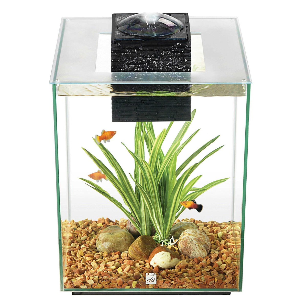Aquarium H278