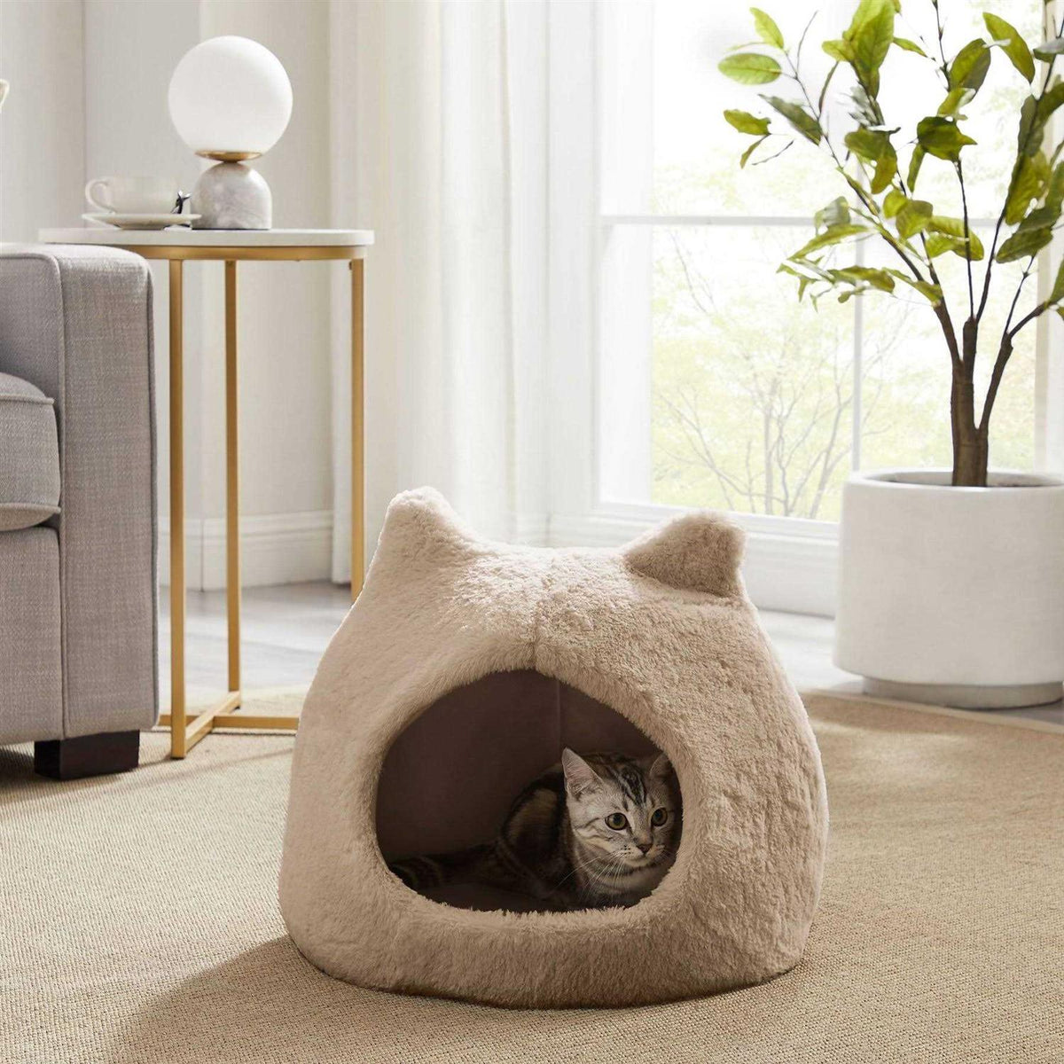 Pet Supplies I374499