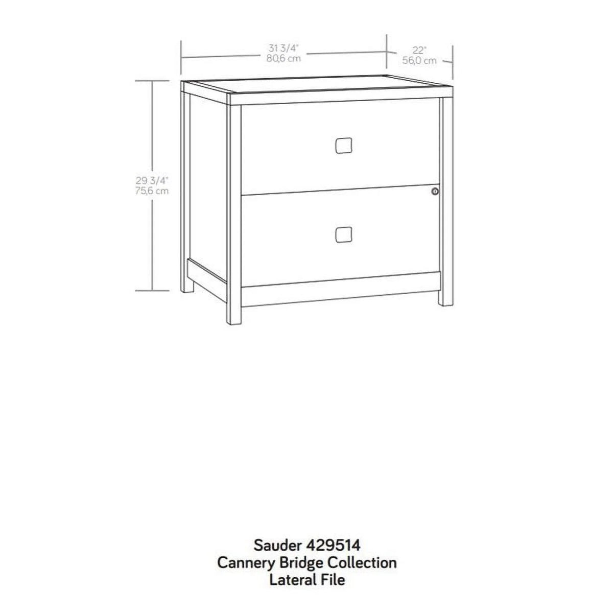 Engineered Wood Filing Cabinet in Brown O985