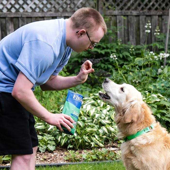 Soft Chew Dog Treats Training Bites G32977