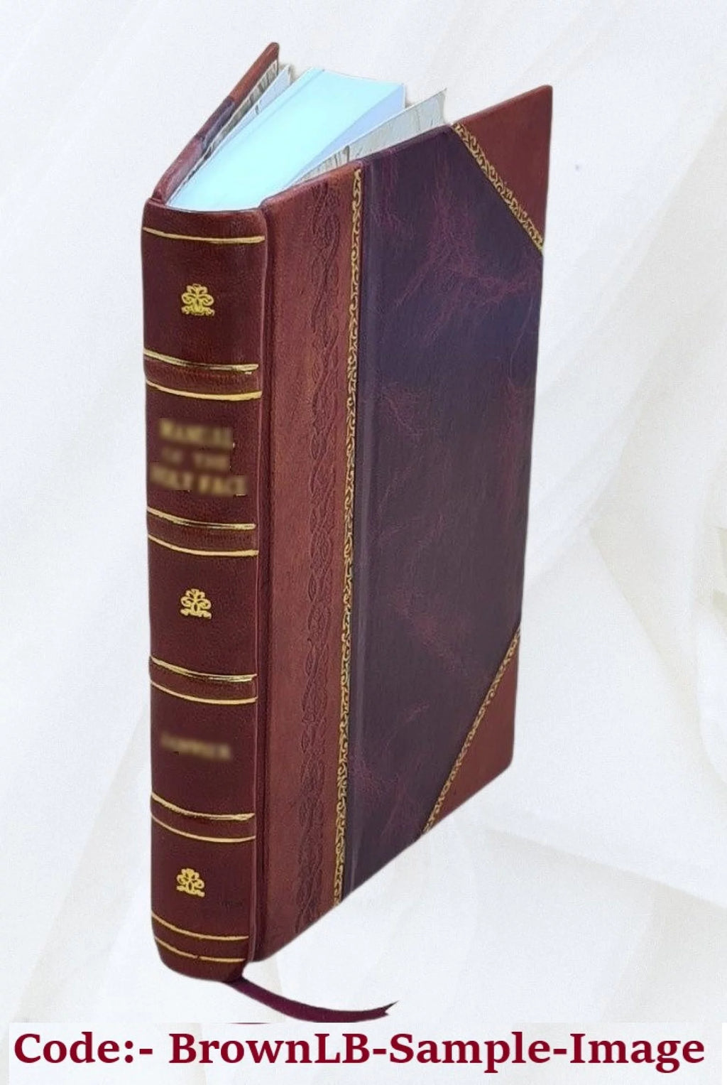 Natural History of Animals L1872