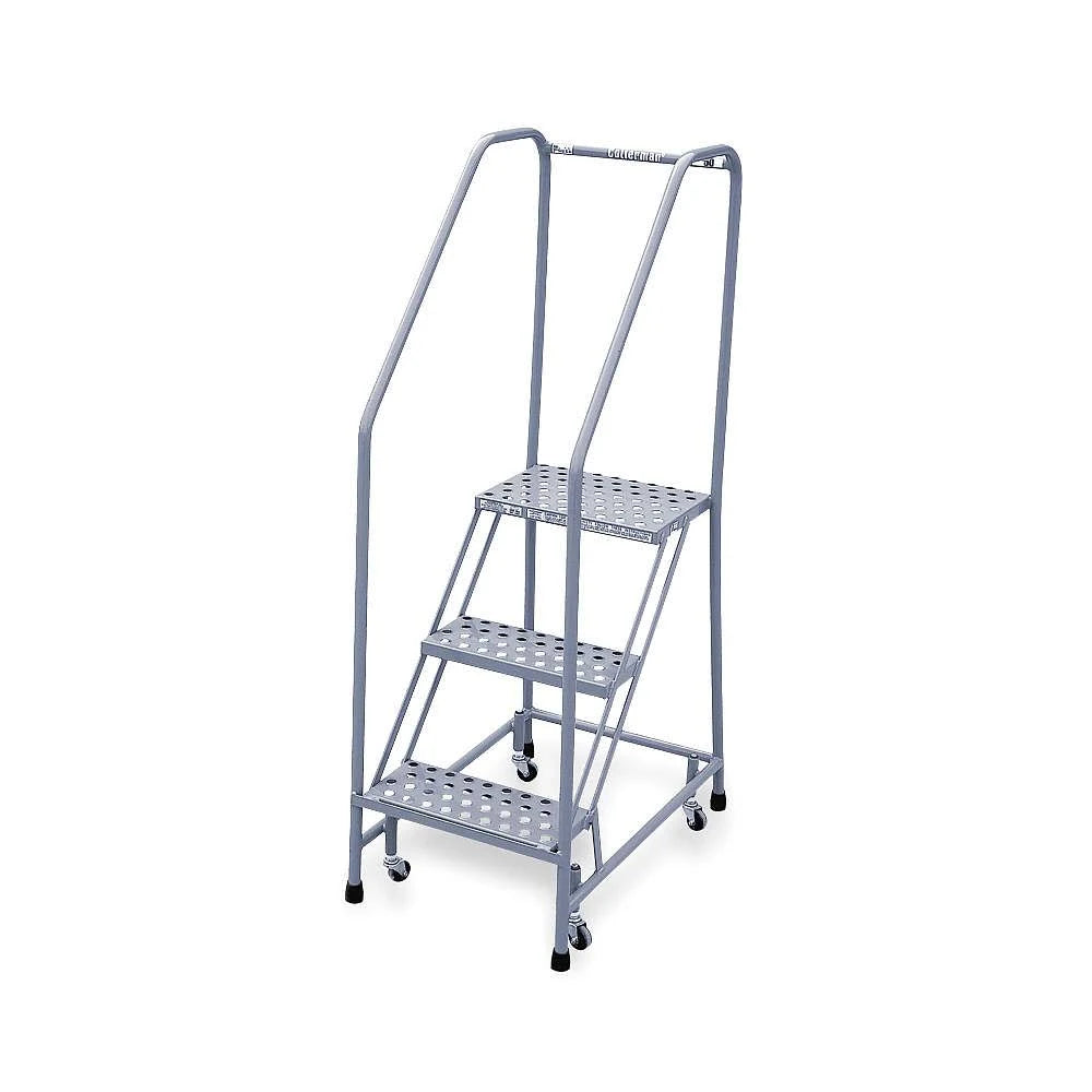 Rolling Ladder with Handrail and Platform, 30in H C8821