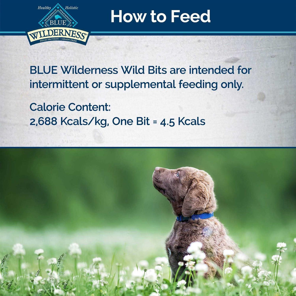 Dog Treats B125901