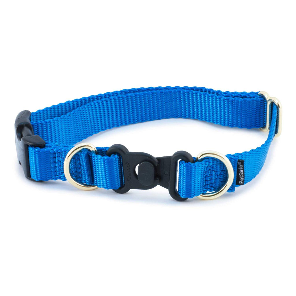 Break-Away Dog Collar F831846