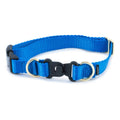Break-Away Dog Collar F831846