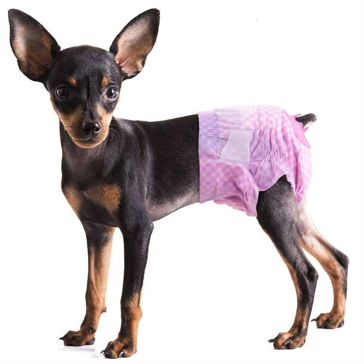 Soft Female Disposable Dog Diapers B493