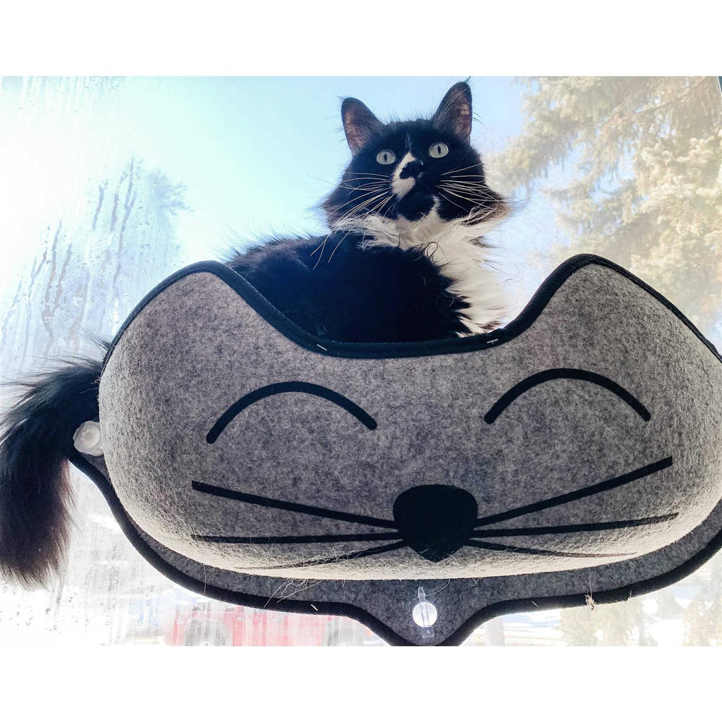 Window Pet Bed Z5043