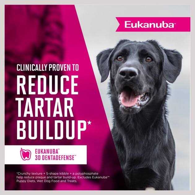 Adult Small Bites Dry Dog Food W731324