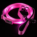 LED USB Rechargeable Dog Leash Y581774
