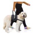 Veterinarian Approved Dog Sling Assist with Chest Strap Y37297