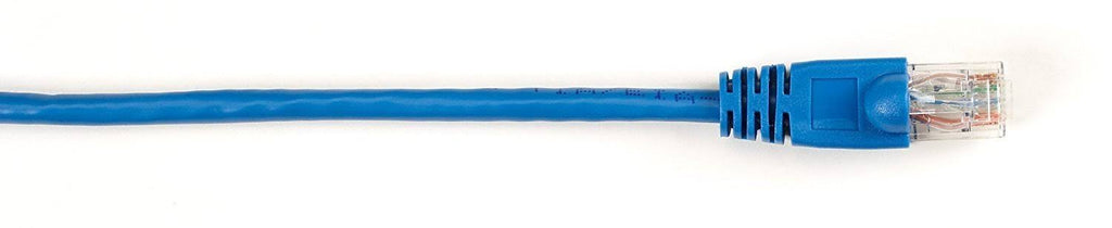 Blue 5-ft Cat6 Patch Cable 25-Pack V7281
