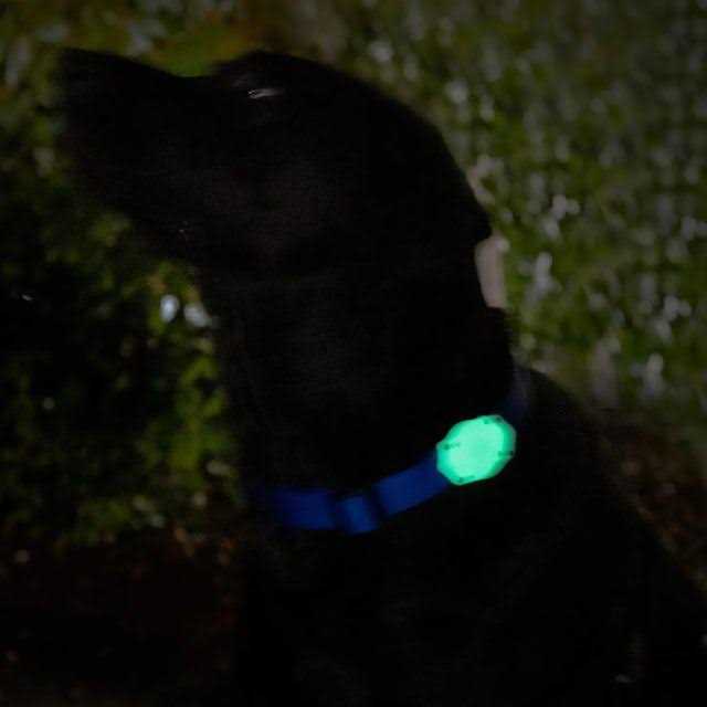 Waterproof AirTag Dog Collar Mount H772