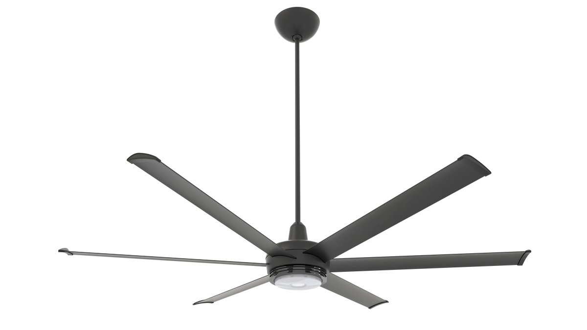 White 72 Ceiling Fan with Downlight F47025