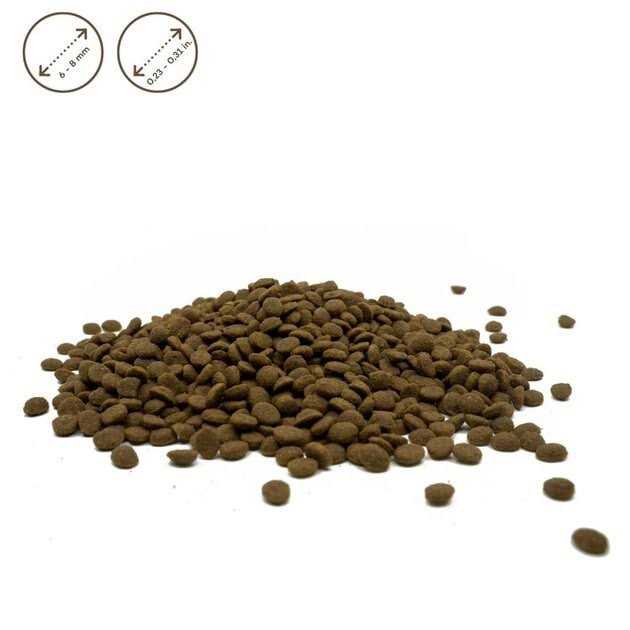 Grain Free White Small Breed Adult Dry Dog Food I463534