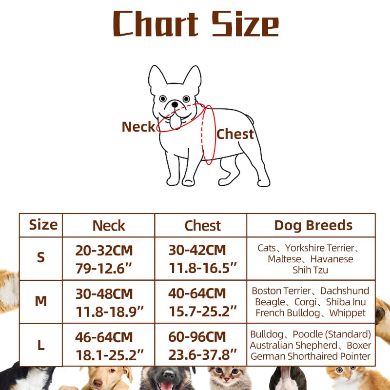Halloween Spider Costume for Dog Cat, Black, 8 Legs, Medium E888578