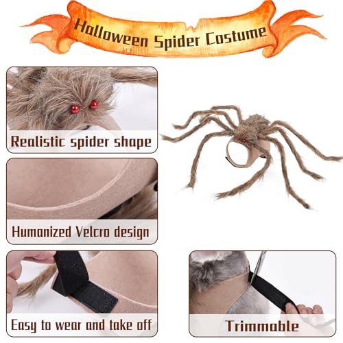 Halloween Spider Costume for Dog Cat, Black, 8 Legs, Medium E888578